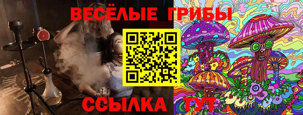 Галлюциногенные грибы Psilocybe Осинники