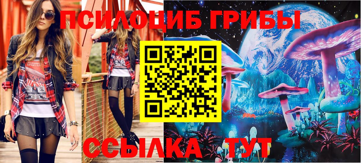 Галлюциногенные грибы MAGIC MUSHROOMS  Галлюциногенные грибы Cubensis  Вход с VPN  Осинники 